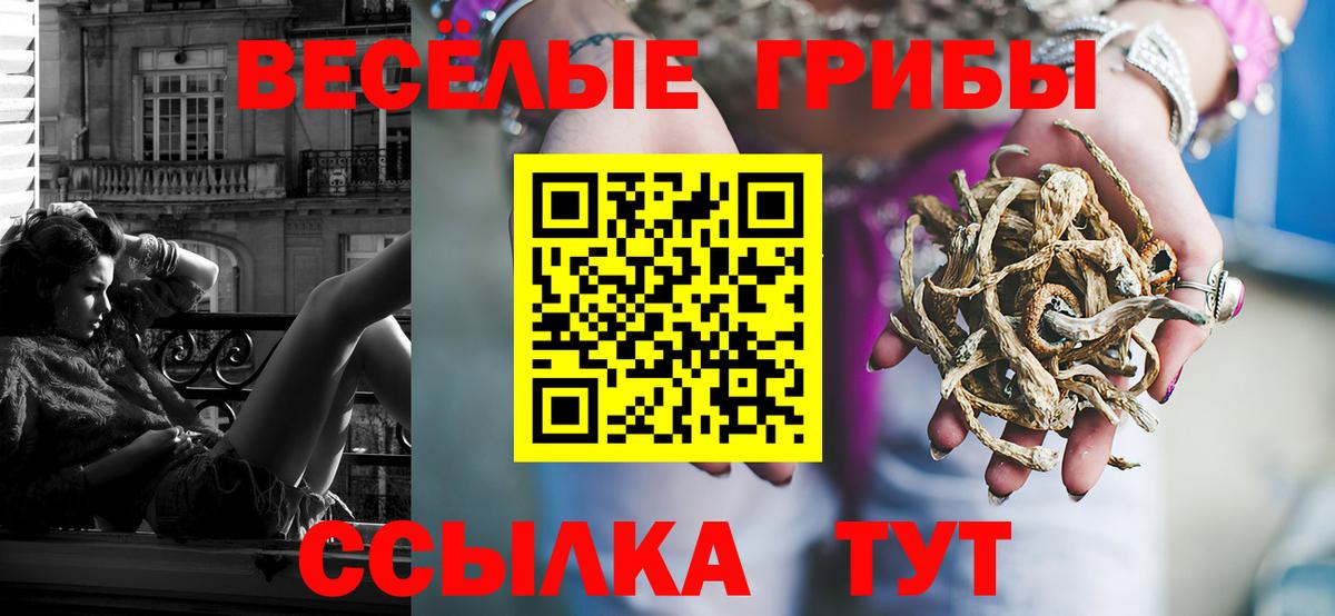 Галлюциногенные грибы Psilocybine cubensis Кудымкар