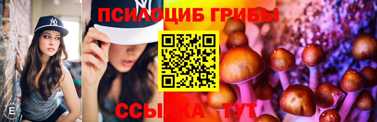 Псилоцибиновые грибы Magic Shrooms  Вход с VPN  Псилоцибиновые грибы мицелий  Кудымкар 
